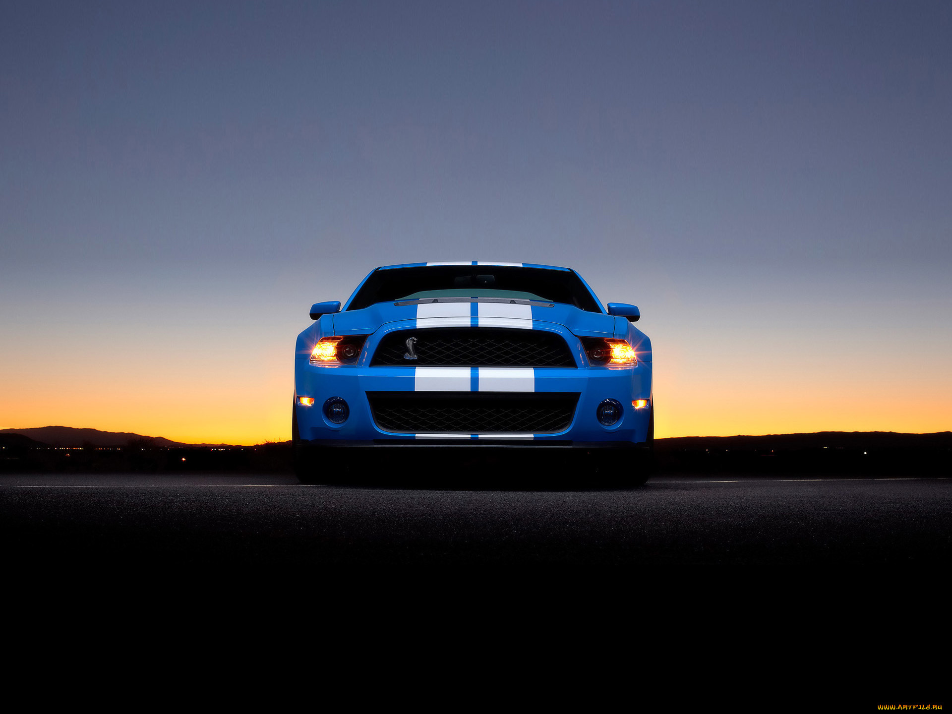 2010, ford, shelby, gt500, 